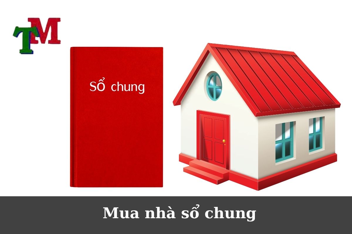 Mua nhà sổ chung: Rủi ro, lưu ý và tư vấn chuyên sâu với Luật Thiên Mã 1 Mua nhà sổ chung