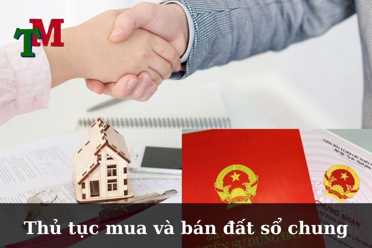 Thủ tục mua và bán đất sổ chung