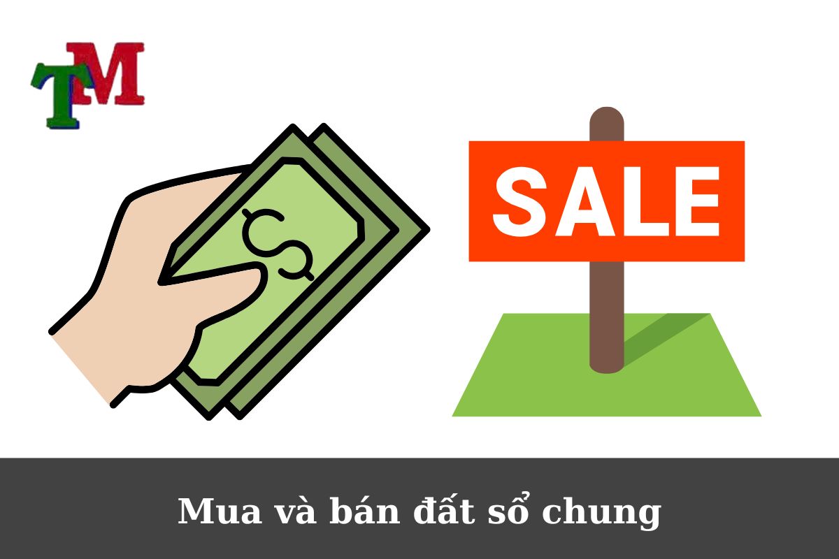 Mua và bán đất sổ chung