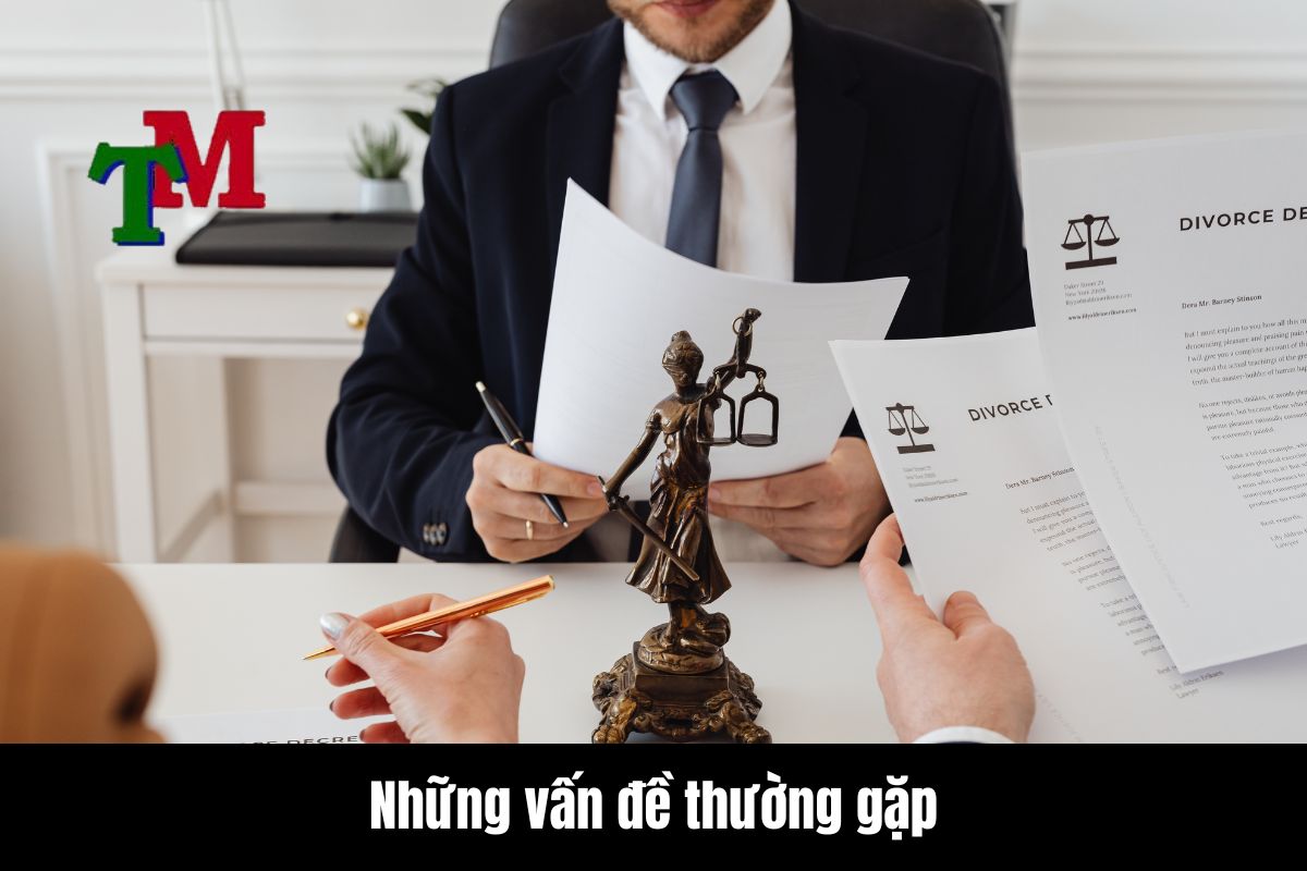 Những vấn đề thường gặp trong tranh chấp quyền nuôi con