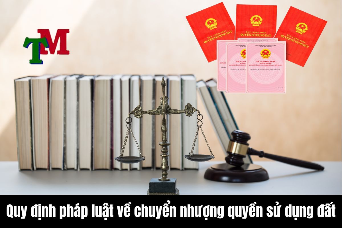 Quy định pháp luật về chuyển nhượng quyền sử dụng đất