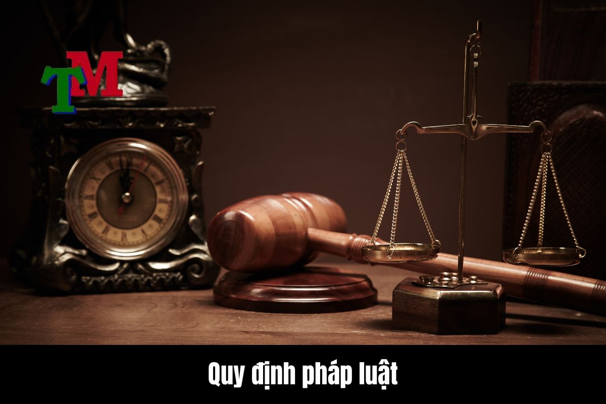 Quy định hiện hành về tài sản không thuộc diện phân chia trong quá trình giải quyết ly hôn 2 TÀI SẢN KHÔNG THUỘC DIỆN PHÂN CHIA KHI LY HÔN