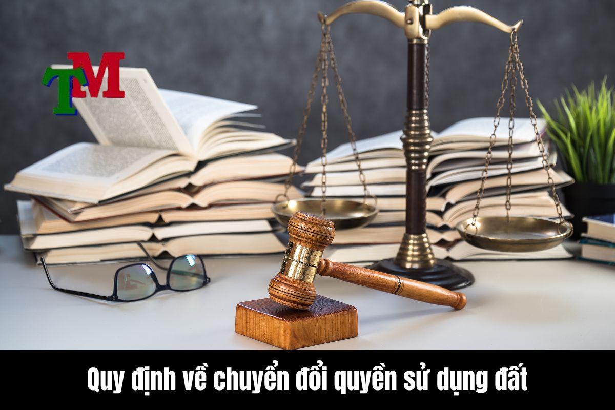 Quy dinh ve chuyen doi quyen su dung dat 1