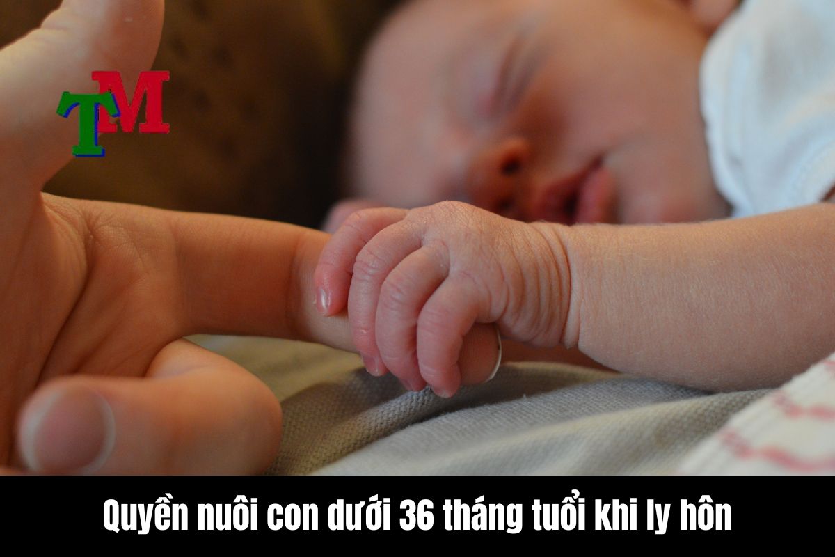 Chăm sóc con sau ly hôn: Quy định pháp luật mới nhất và những điều cần biết 2 Quyền nuôi con dưới 36 tháng tuổi khi ly hôn
