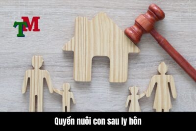 Quyền nuôi con sau ly hôn là gì