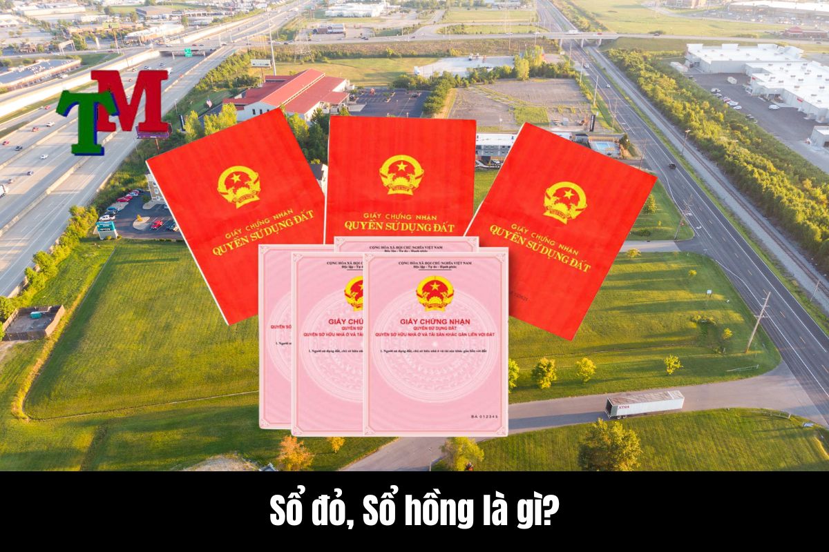 Hồ sơ đăng ký biến động đất đai 1 Sổ đỏ, Sổ hồng là gì?