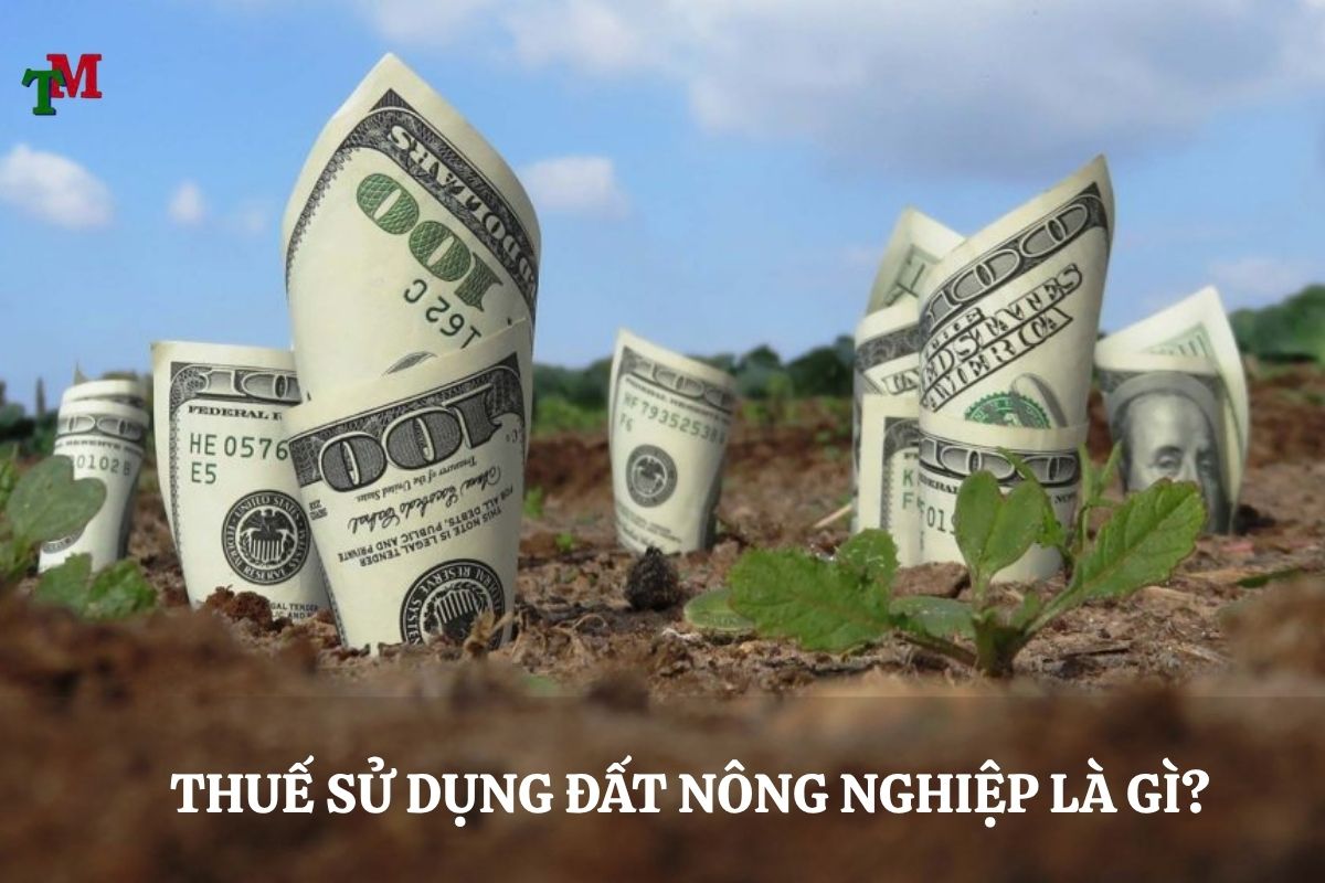 Thuế sử dụng đất nông nghiệp: Hướng dẫn pháp lý toàn diện 1 THUE SU DUNG DAT NONG NGHIEP 3