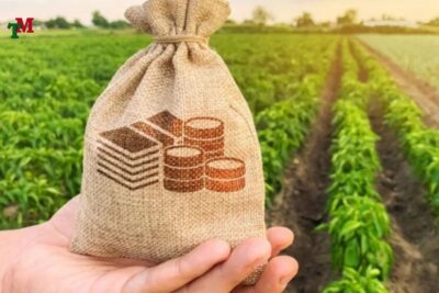 THUE SU DUNG DAT NONG NGHIEP