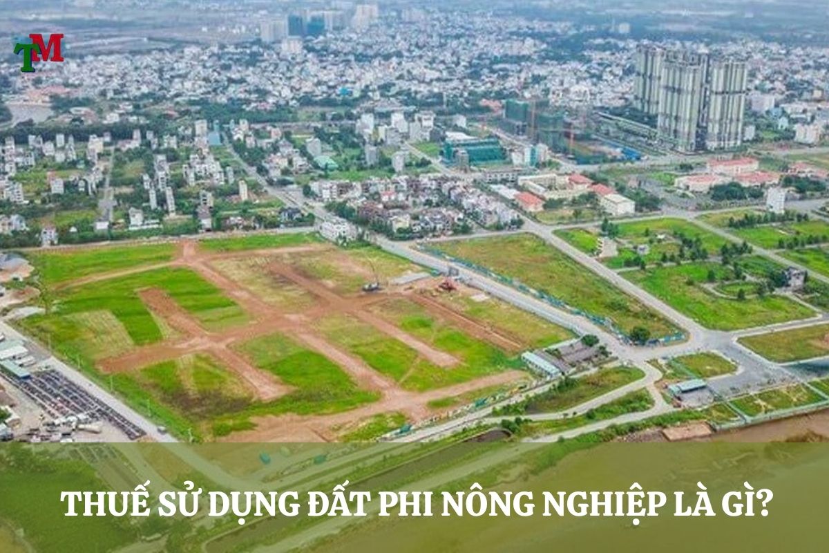 THUE SU DUNG DAT PHI NONG NGHIEP 2
