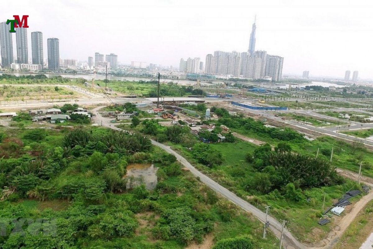 Thuế sử dụng đất nông nghiệp: Hướng dẫn pháp lý toàn diện 2 THUE SU DUNG DAT PHI NONG NGHIEP 3