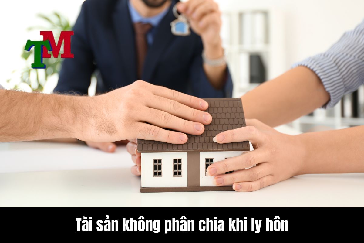 Quy định hiện hành về tài sản không thuộc diện phân chia trong quá trình giải quyết ly hôn 1 Tài sản không phân chia khi ly hôn