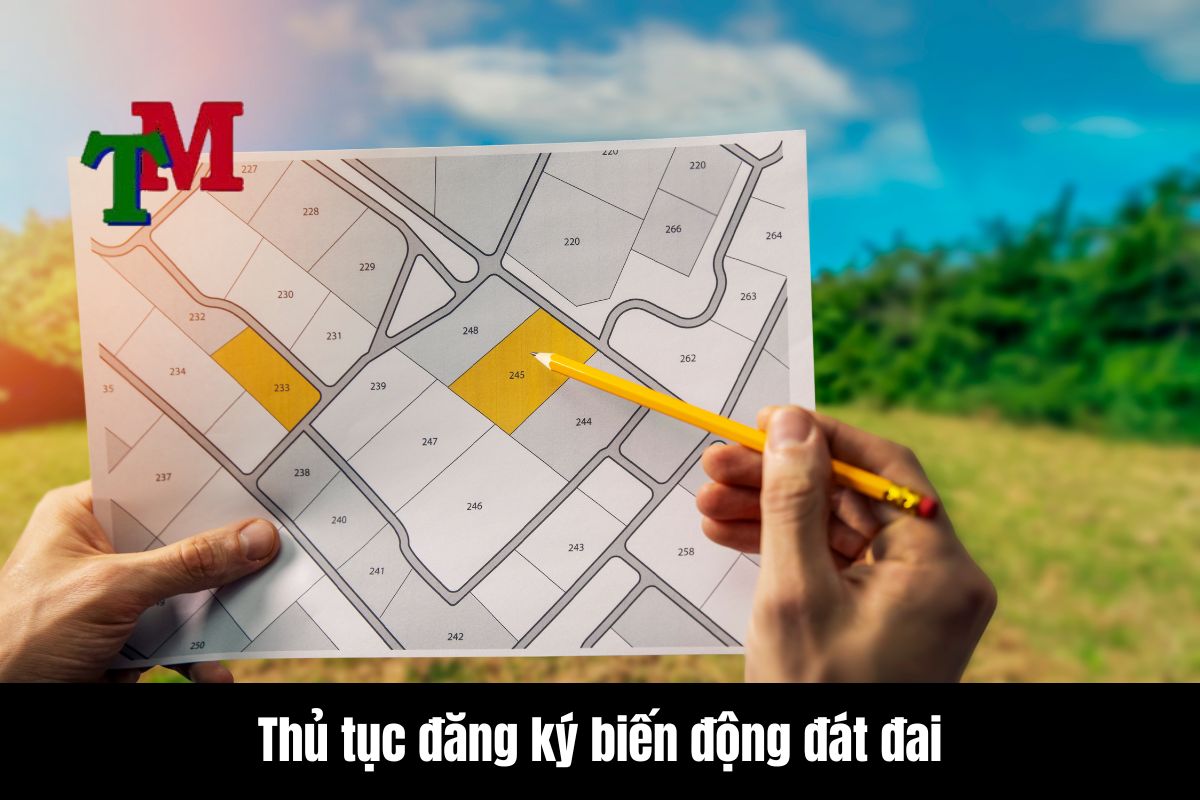 Thủ tục đăng ký đất đai theo quy định mới: Góc nhìn chuyên sâu từ luật sư 2 Thủ Tục Đăng Ký Biến Động Đất Đai