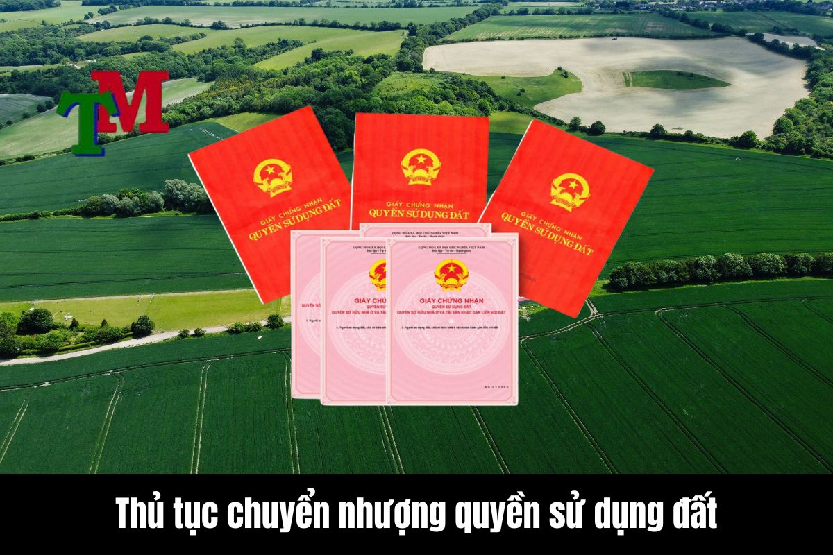 Thủ tục chuyển nhượng quyền sử dụng đất