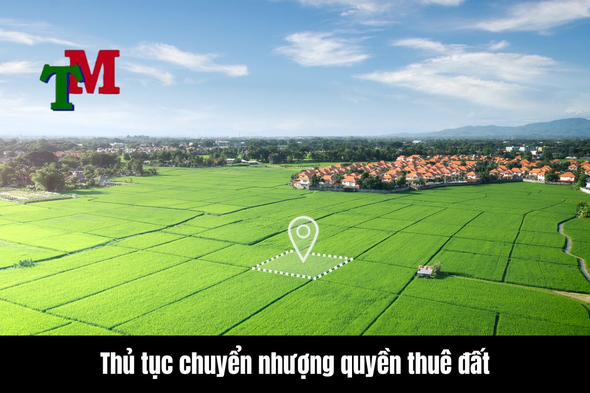 Thủ tục chuyển nhượng quyền thuê đất theo Luật Đất đai 2024