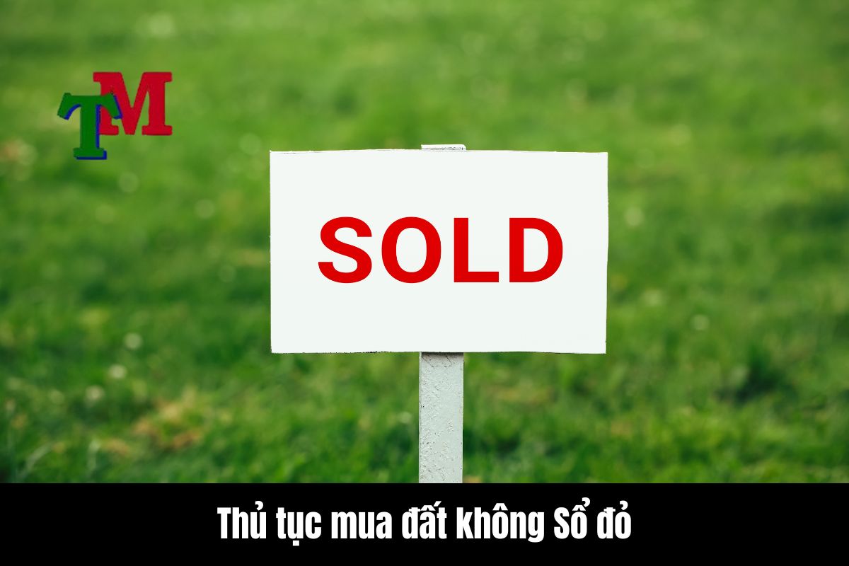 Thủ tục mua đất không Sổ đỏ