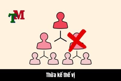Thừa kế thế vị là gì?