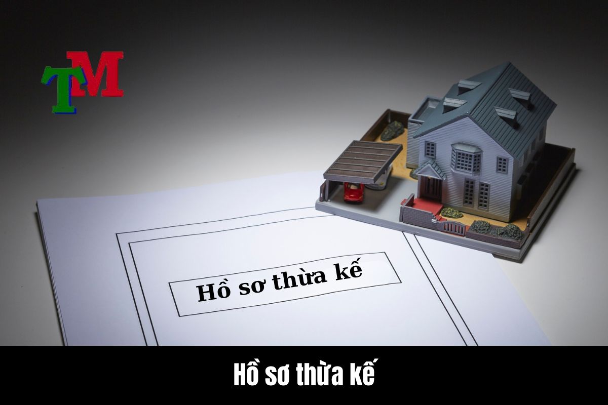 Tầm quan trọng của việc lập hồ sơ thừa kế đúng pháp lý 1 Thừa kế và hồ sơ thừa kế là gì?