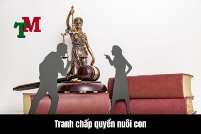 Tranh chấp quyền nuôi con là gì