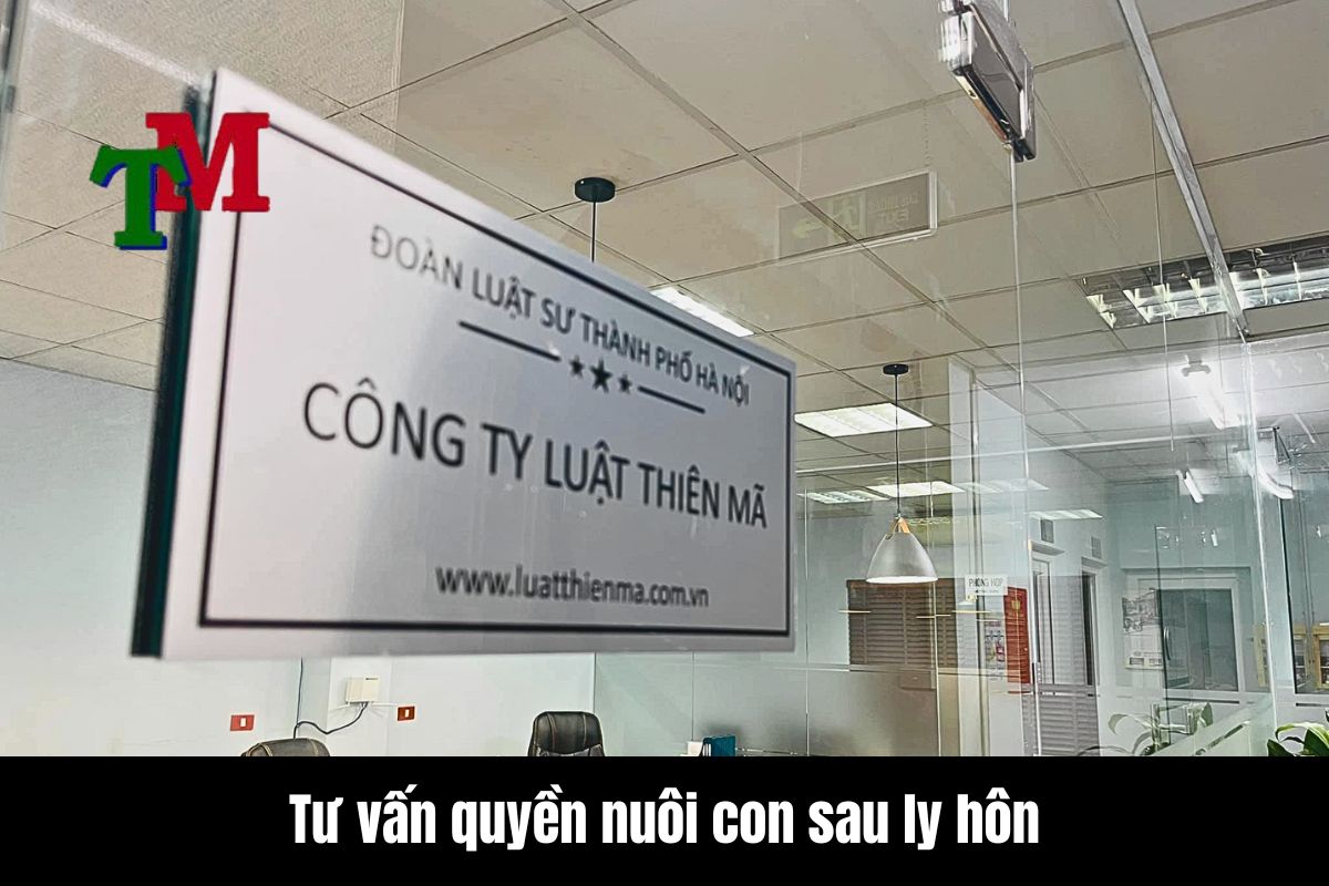Tư vấn quyền nuôi con sau ly hôn