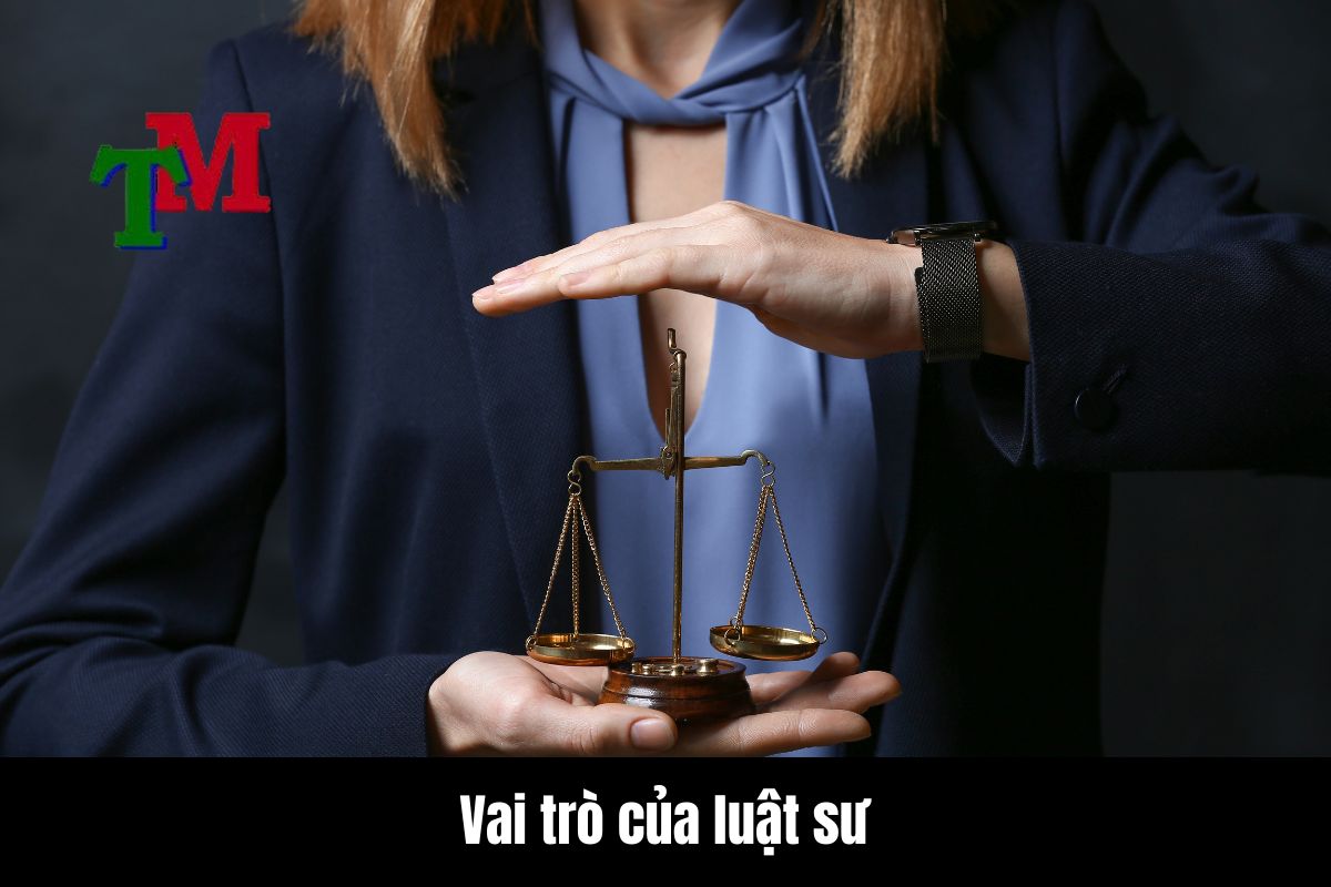 Quyền nuôi con sau ly hôn: Thay đổi quyền nuôi con theo pháp luật Việt Nam 3 Vai trò của luật sư trong quá trình thay đổi quyền nuôi con
