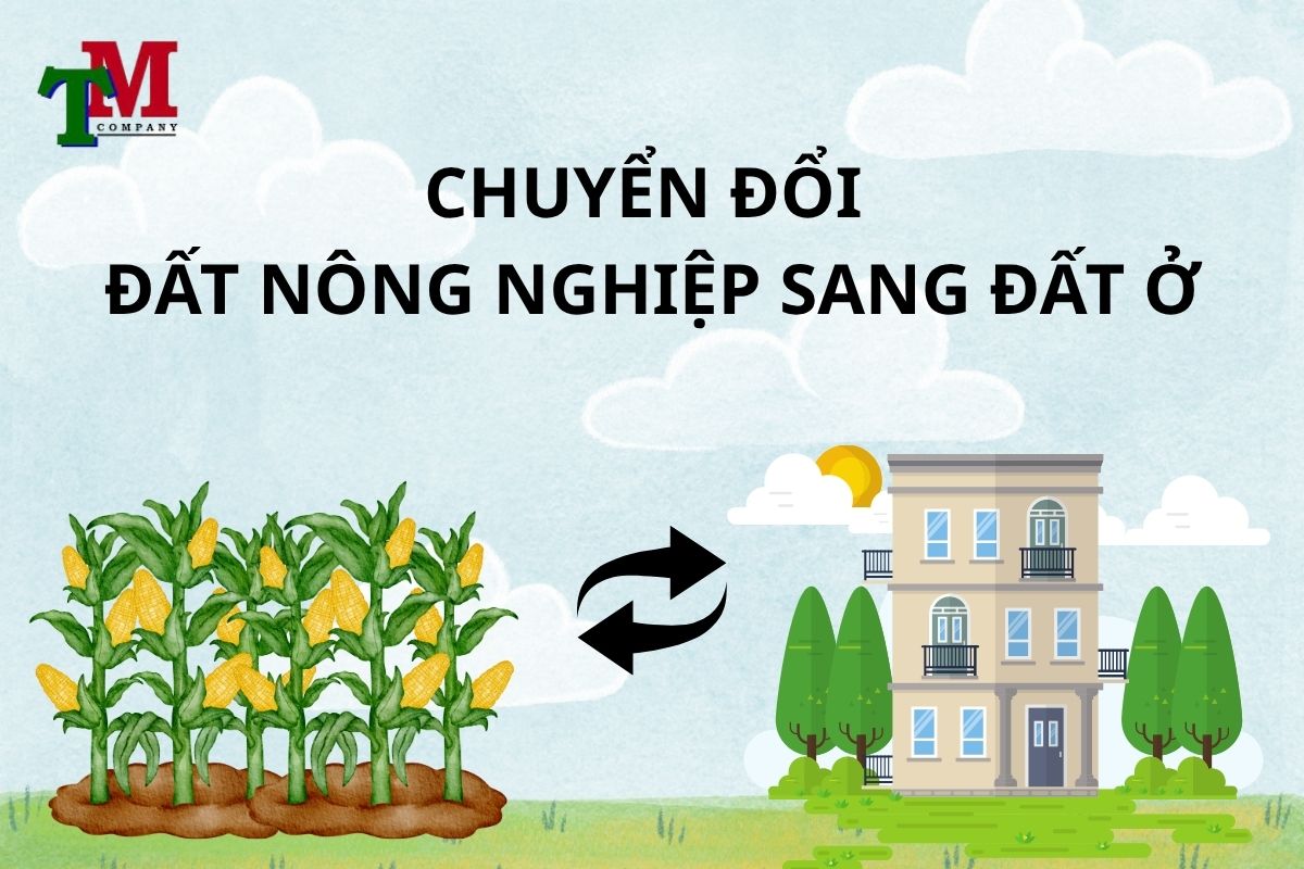 Có được chuyển đất nông nghiệp sang đất ở không? Tư vấn - Giải quyết từ Luật Thiên Mã 1 chuyển đất nông nghiệp sang đất ở