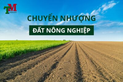 chuyển nhượng đất nông nghiệp