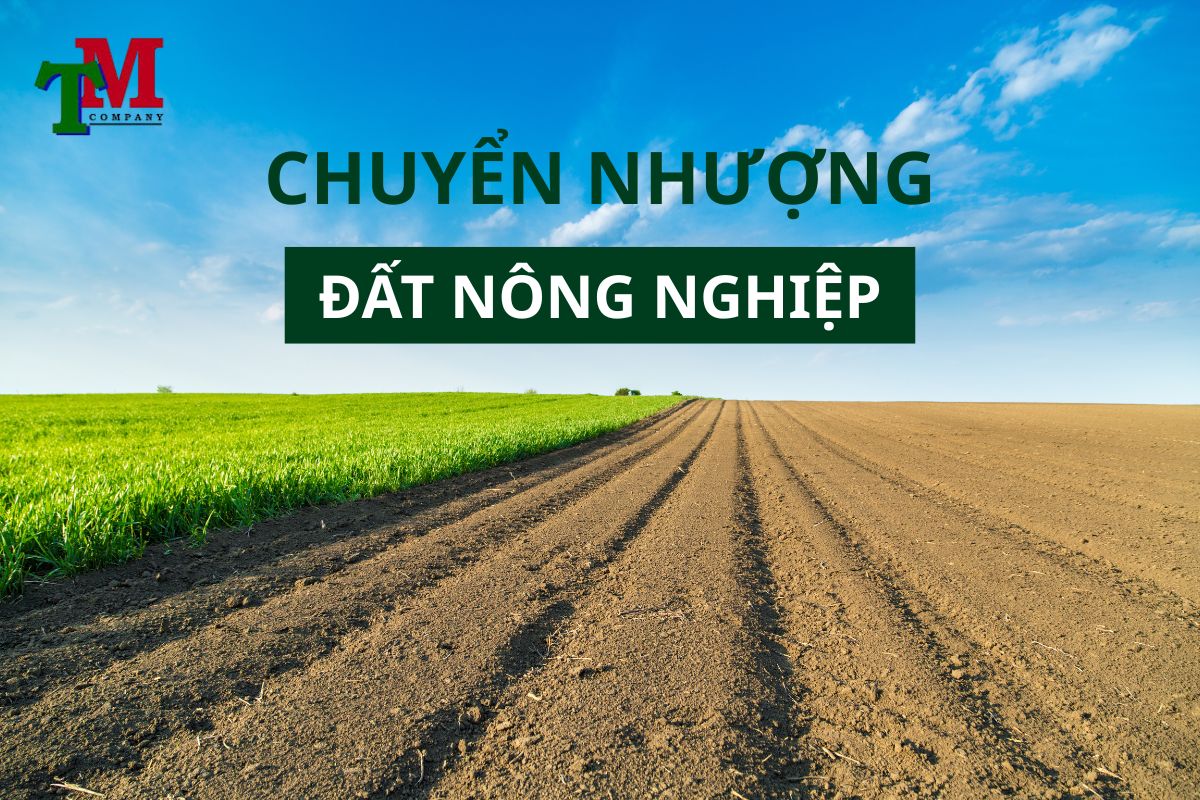 chuyển nhượng đất nông nghiệp