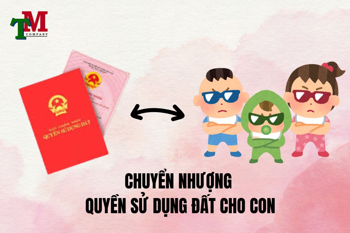 chuyển nhượng quyền sử dụng đất cho con