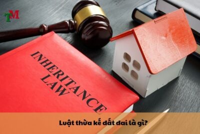 luat thua ke dat dai 1