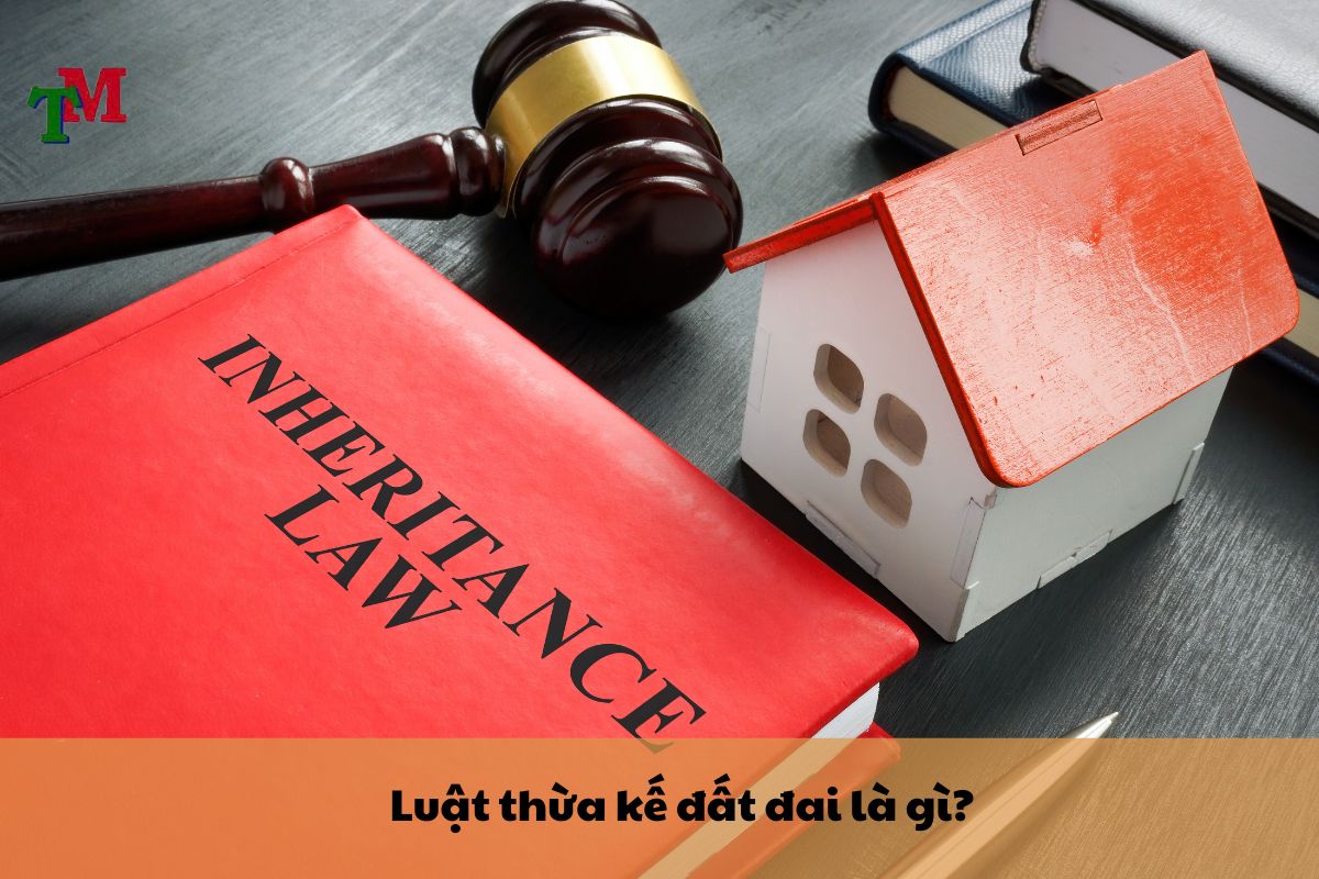 Luật thừa kế đất đai – Quy định và biên bản họp gia đình về thừa kế đất đai 1 Luật thừa kế đất đai là gì?