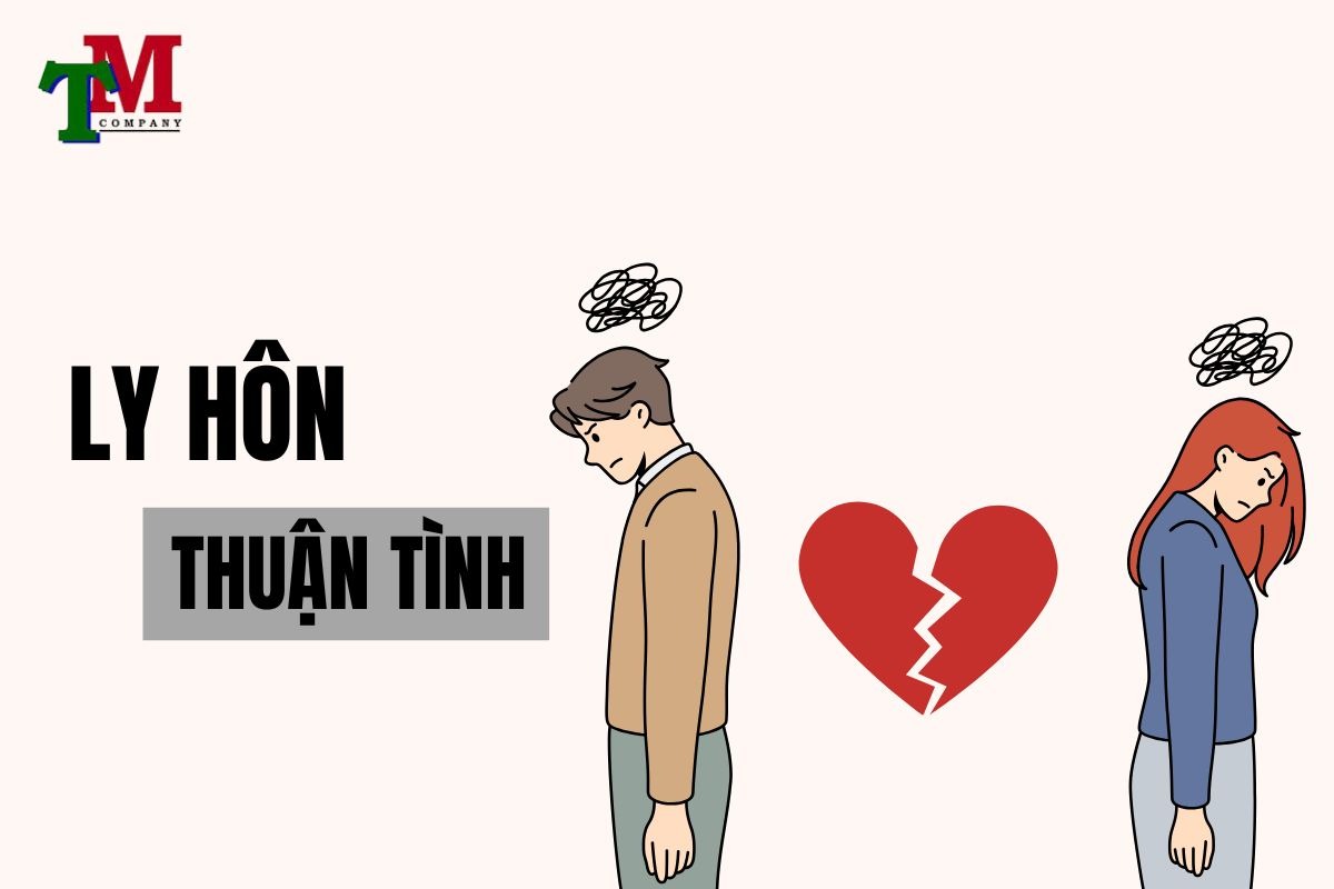 ly hôn thuận tình