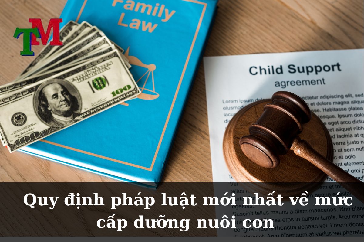 Quy định pháp luật mới nhất về mức cấp dưỡng nuôi con 