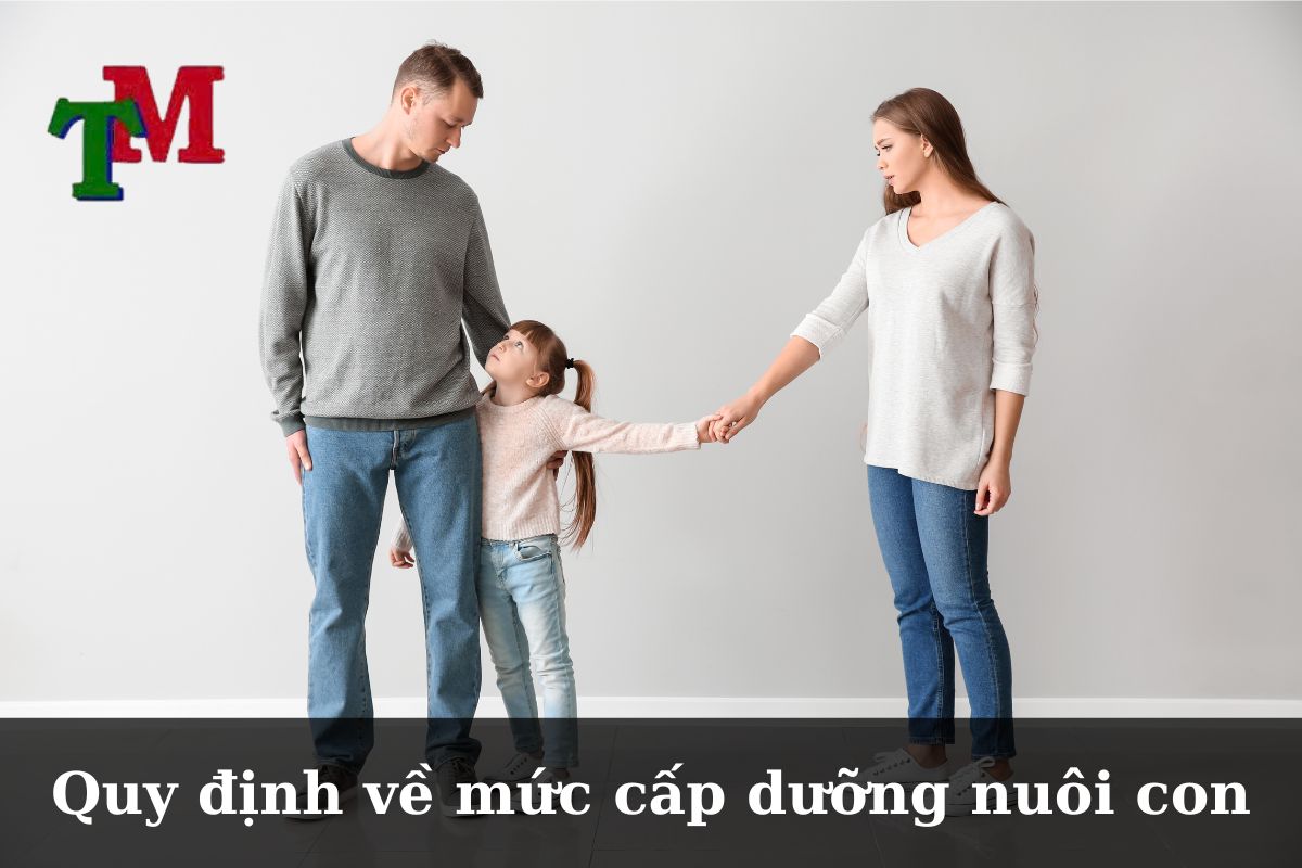 Định nghĩa cấp dưỡng nuôi con theo pháp luật