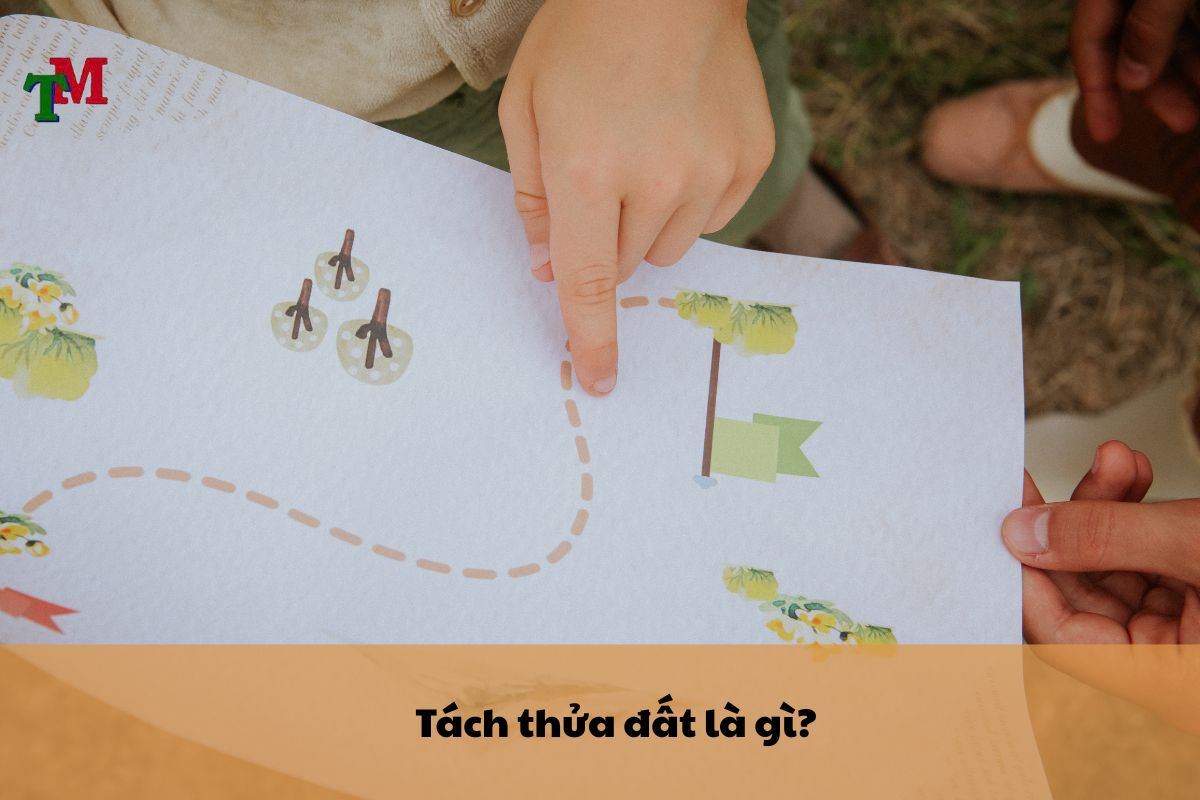 Quy trình tách thửa đất và hồ sơ cần thiết 1 tach thua dat 1