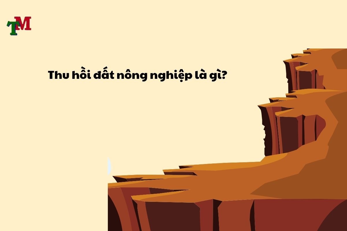 Hỗ trợ khi nhà nước thu hồi đất nông nghiệp theo Luật Đất đai 2024 1 Thu hồi đất nông nghiệp là gì?