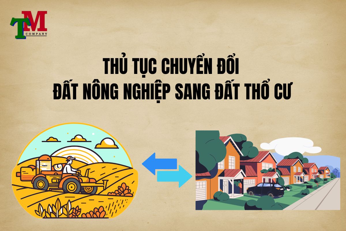 Có được chuyển đất nông nghiệp sang đất ở không? Tư vấn - Giải quyết từ Luật Thiên Mã 2 thủ tục chuyển đất nông nghiệp sang đất ở