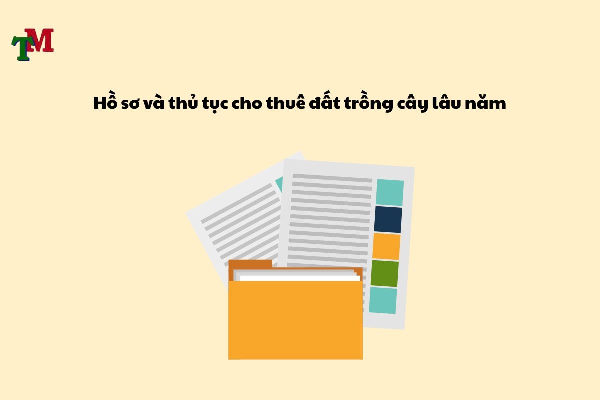 thue dat trong cay lau nam 2