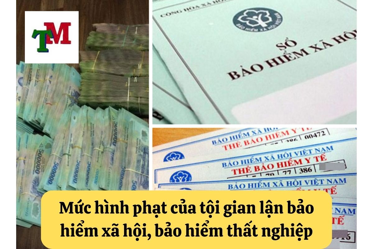 Tội gian lận bảo hiểm xã hội, bảo hiểm thất nghiệp – Hướng dẫn pháp lý 3 Mức hình phạt của tội gian lận bảo hiểm xã hội, bảo hiểm thất nghiệp
