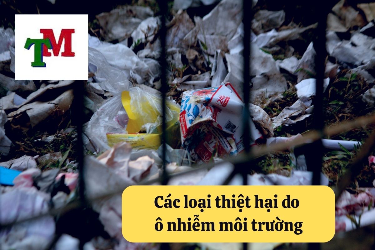 Bồi thường thiệt hại do ô nhiễm môi trường: 3 Quy định pháp luật và hướng dẫn thực hiện 2 Các loại thiệt hại do ô nhiễm môi trường