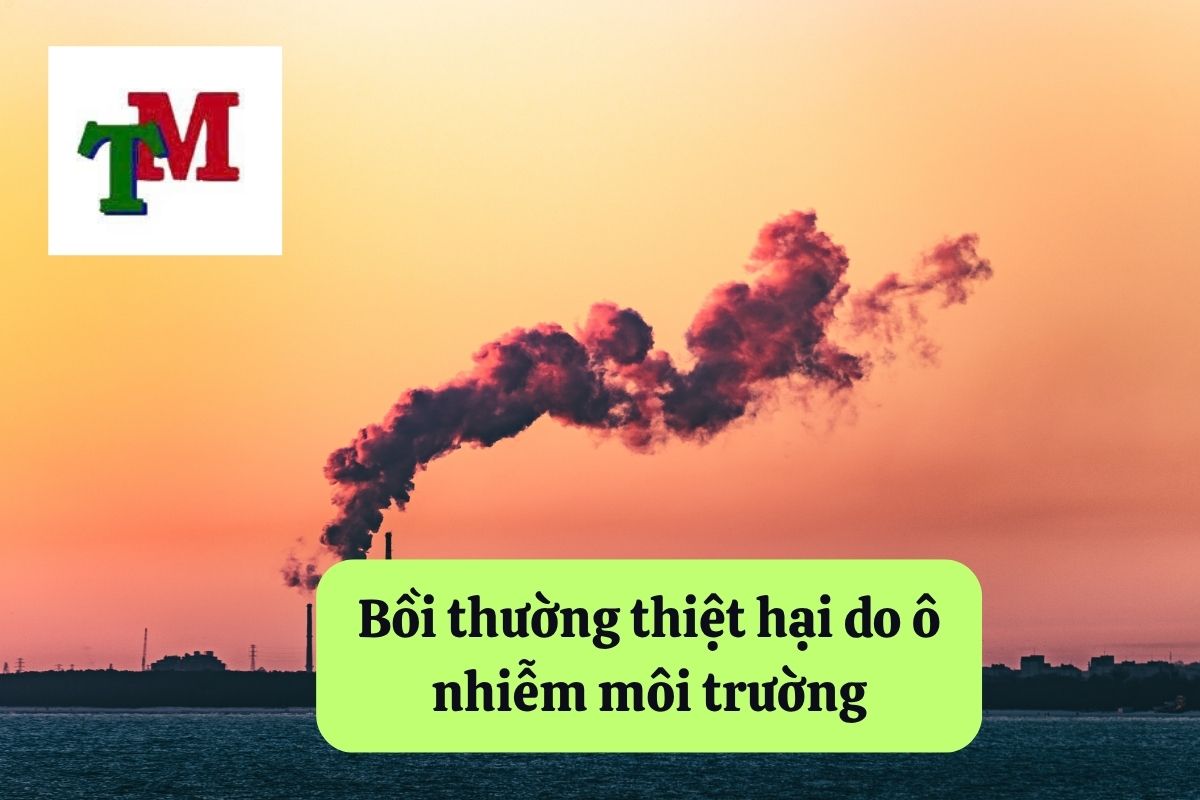 Bồi thường thiệt hại do ô nhiễm môi trường: 3 Quy định pháp luật và hướng dẫn thực hiện 1 Bồi thường thiệt hại do ô nhiễm môi trường: 3 Quy định pháp luật và hướng dẫn thực hiện