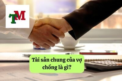 Hợp đồng chuyển nhượng tài sản chung của vợ chồng: Quy định pháp luật và thủ tục thực hiện 35 1. hop dong chuyen nhuong tai san chung 4