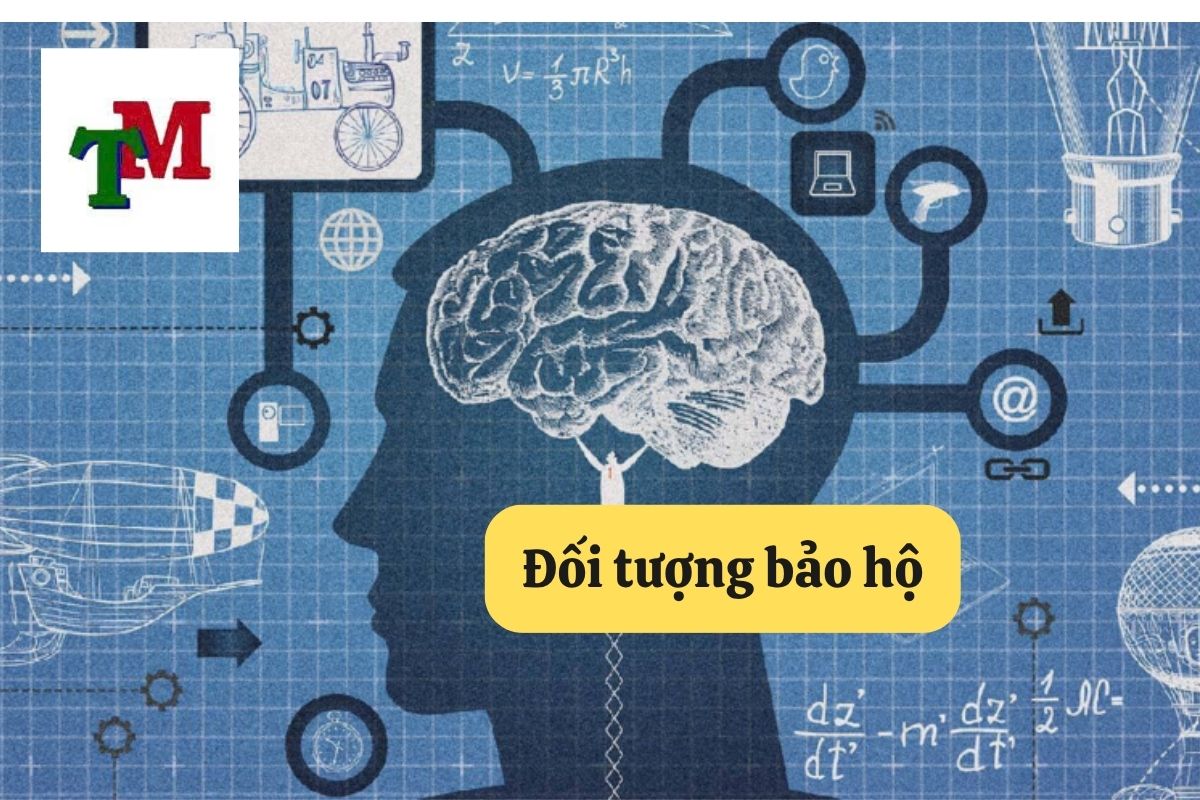 1. phan biet quyen tac gia va quyen lien quan 2