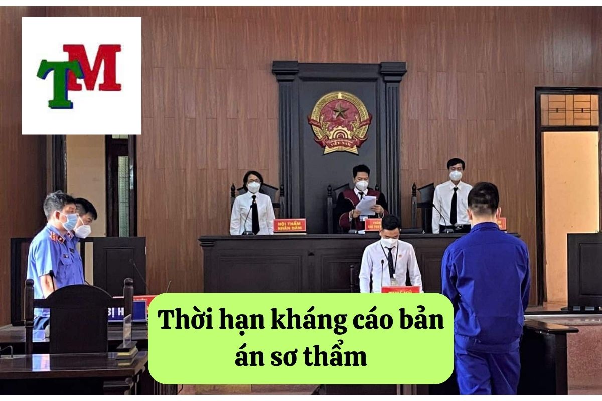Hiểu biết quy trình sơ thẩm dân sự và quyền lợi của bạn tại tòa án 3 1. so tham 3