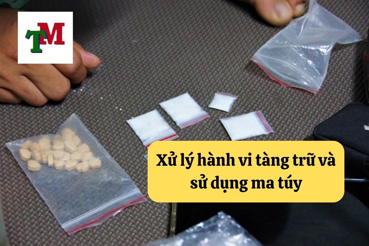 Xử lý hành vi tàng trữ và sử dụng ma túy