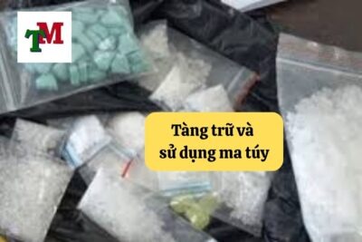 1. tang tru su dung ma tuy