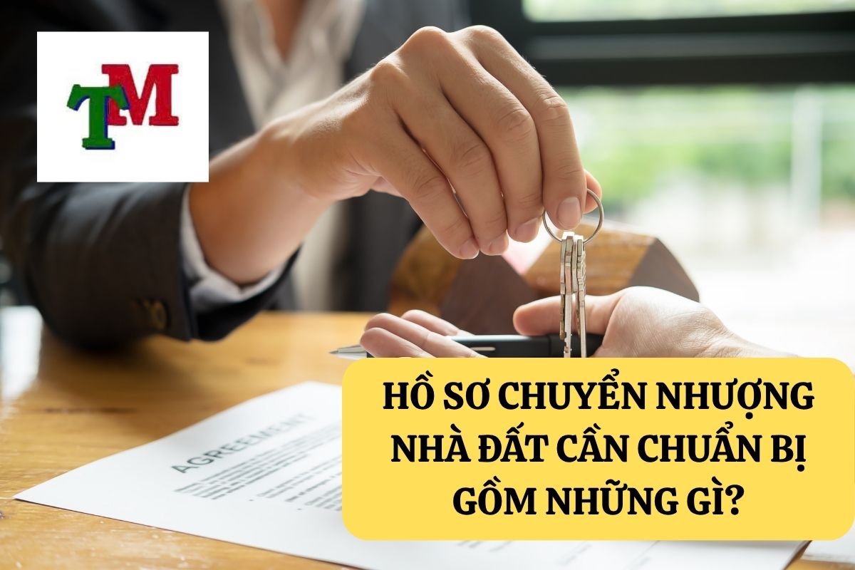 Chuyển nhượng nhà đất: Trình tự, điều kiện và lưu ý pháp lý 2 1.6.5 2