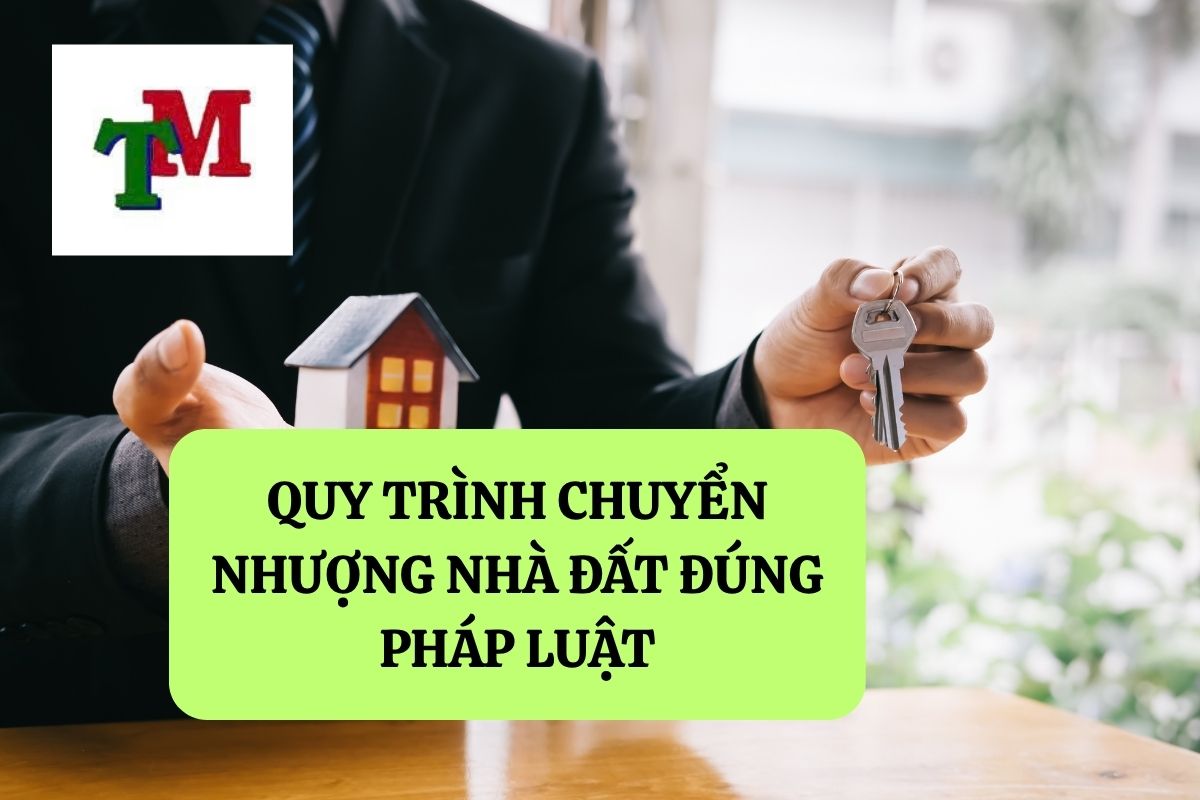 Chuyển nhượng nhà đất: Trình tự, điều kiện và lưu ý pháp lý 3 1.6.5 3