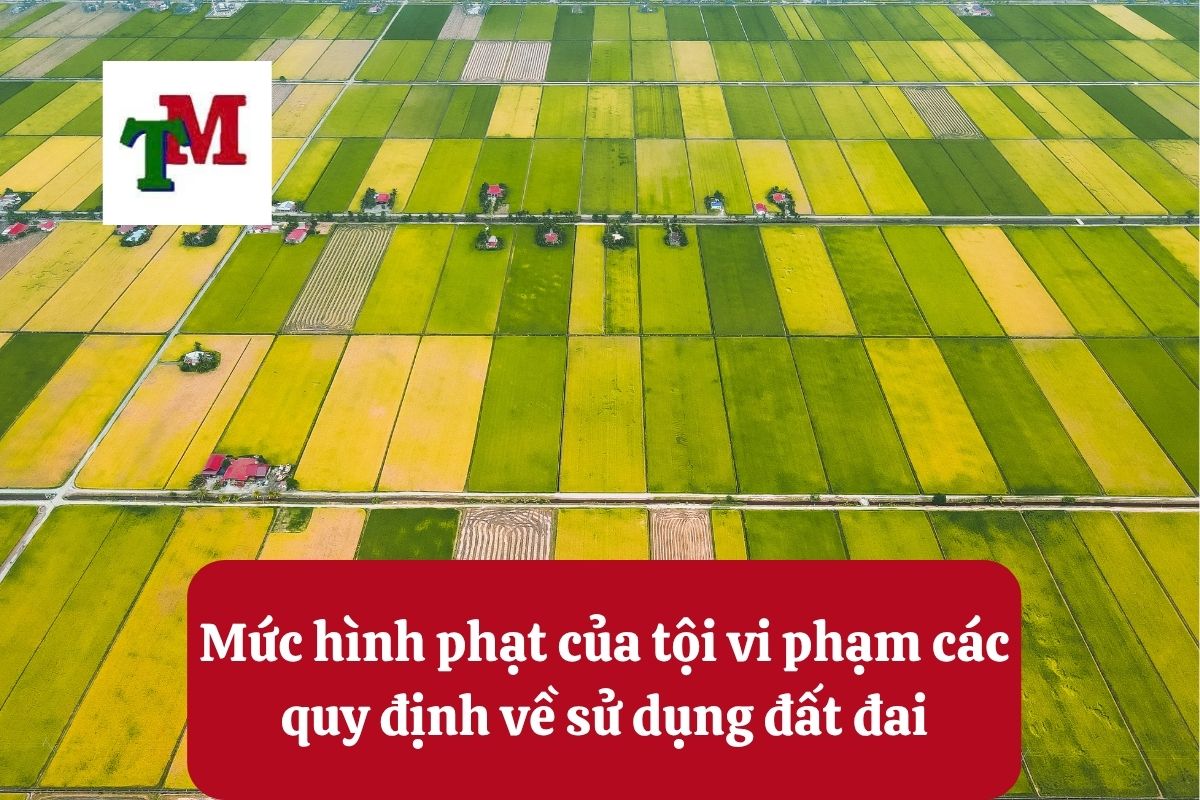 Mức hình phạt của tội vi phạm các quy định về sử dụng đất đai