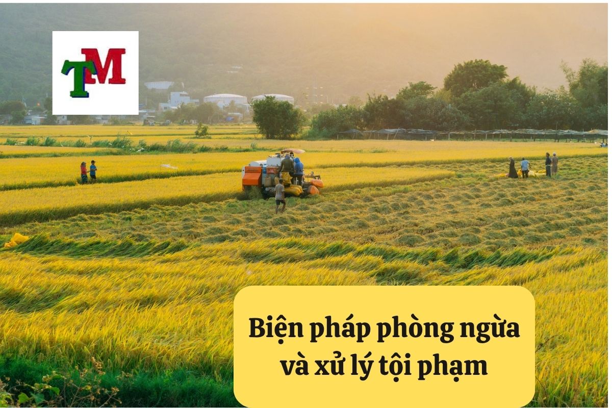 Biện pháp phòng ngừa và xử lý tội phạm