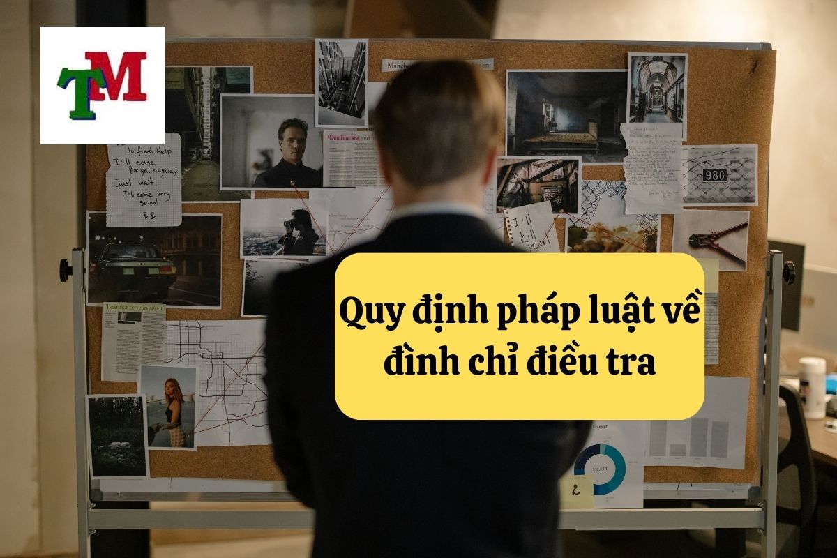 10. dinh chi dieu tra 2